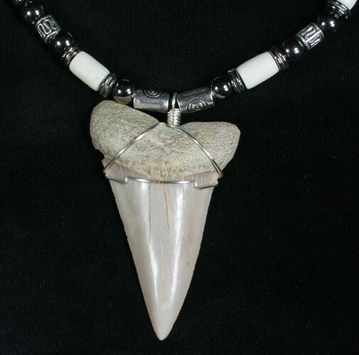 Fossil Mako Tooth Necklace - Bakersfield, CA #5329